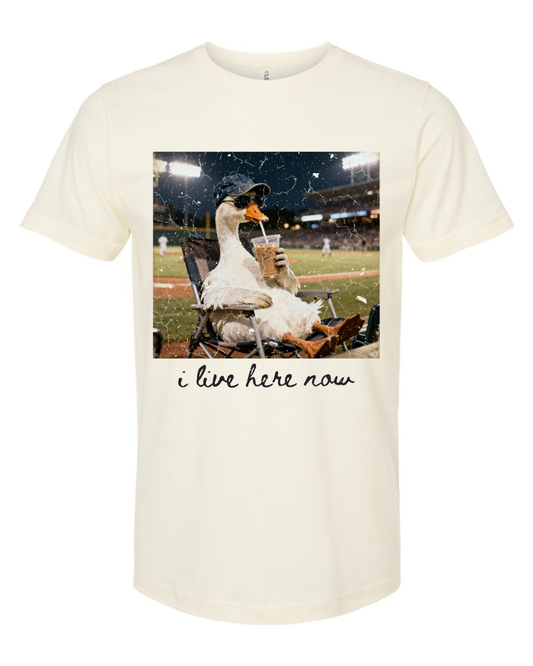 Tultex I Live Here Tee.