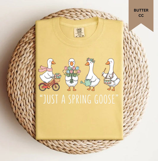 Just a Spring Goose Tee.