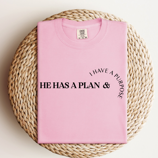 He Has A Plan, I Have A Purpose Tee.